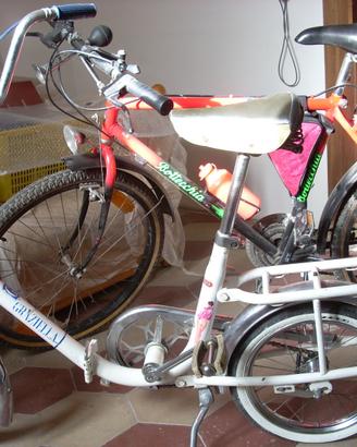 Graziella Carnielli 16' anni '60 e Bottecchia '90