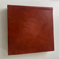 Album da matrimonio o cerimonia