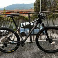 Orbea alma