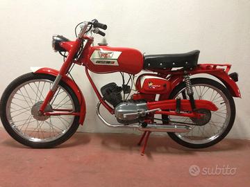 morino corsarino 50 zt