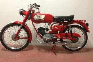 morino corsarino 50 zt