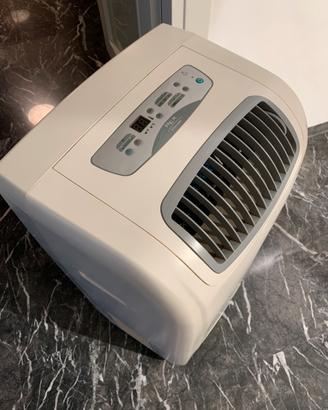 Climatizzatore ELECTROLUX portatile