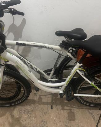 Bicicletta elettrica Armony 
