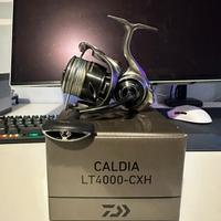 Daiwa caldia mulinello