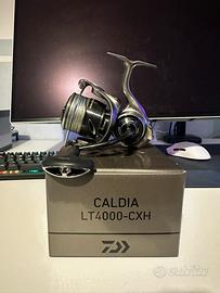Daiwa caldia mulinello