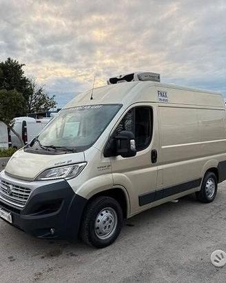 Fiat ducato 2.3 mjet frigo trasporto carne atp 09-