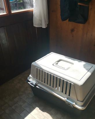 trasportino per gatto