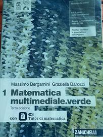 Matematica multimediale.verde