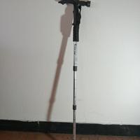 Bastone da passeggio 