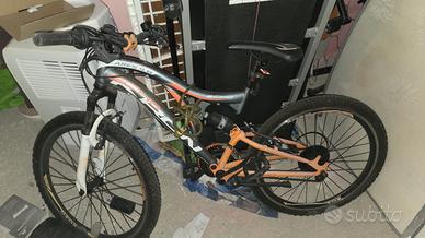 Bicicletta per ragazzi