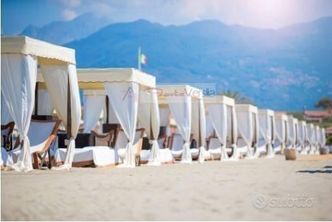 House in Forte dei Marmi, Caranna - Altro