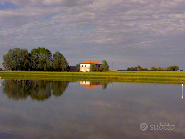 Casa unifamiliare e pertinenze