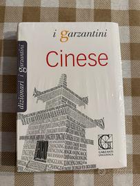 Dizionario cinese