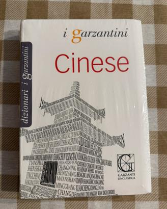 Dizionario cinese