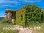 Immagine 26