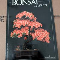 Bonsai News n.1