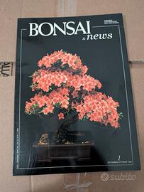 Bonsai News n.1