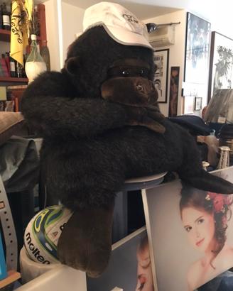 Blocco Peluches di marca+Vario