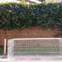 Gabbia conigli/cavie/criceti