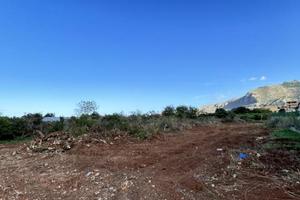 Ciaculli/Conte Federico - Terreno di 1000 mq