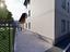 Immagine 12