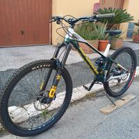 bici mtb enduro