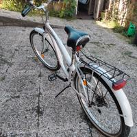 Bicicletta cruiser da adulto