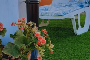 Terrazza sul salento