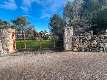 Terreno in contrada "forestale" 4800mq tuglie