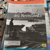Libro percorsi del novecento