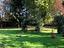 Immagine 16
