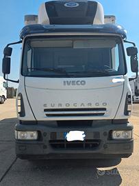 Motrice frigo Iveco 