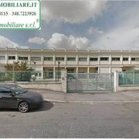 Terreno di mq 11.000 per edificare 7.000 mq Cod.TP