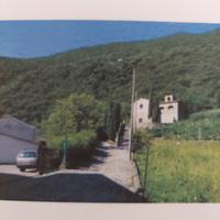 Bosco Ceduo con Terreno