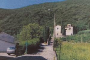 Bosco Ceduo con Terreno