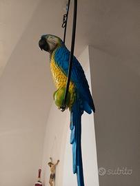 Pappagallo (finto)