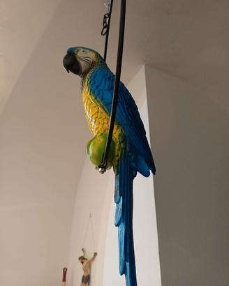 Pappagallo (finto)