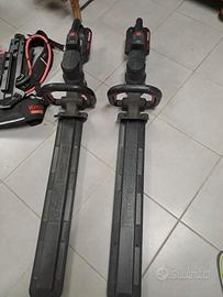 TAGLIASIEPI PROFESSIONALE