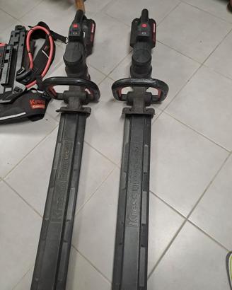 TAGLIASIEPI PROFESSIONALE