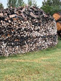 Legna da ardere per camino