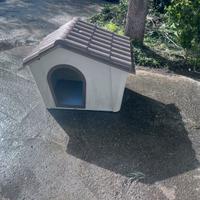 Ciccia per cane