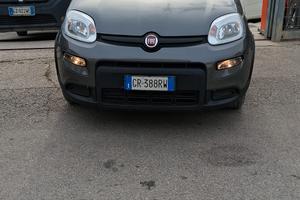 PANDA IBRIDA