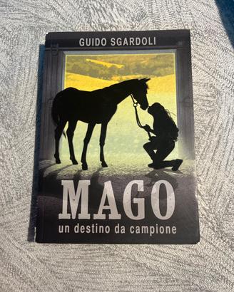 Mago un destino da campione - G. Sgardoli
