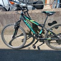 bici mountain-bike vertex 24