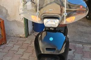 Piaggio free 50