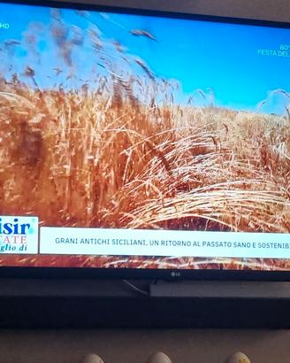 smart tv 42 pollici compreso bar audio bluetooth