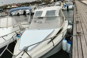 Rio Cruiser 650