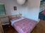 Immagine 7
