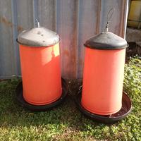 tramoggia grande x galline