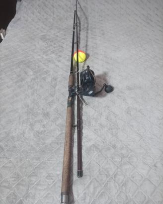 Canna da pesca per pesce gatto